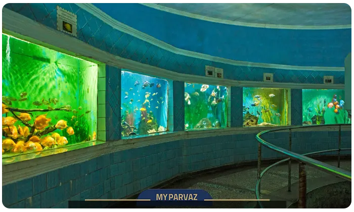 بهترین تفریحات باتومی گرجستان